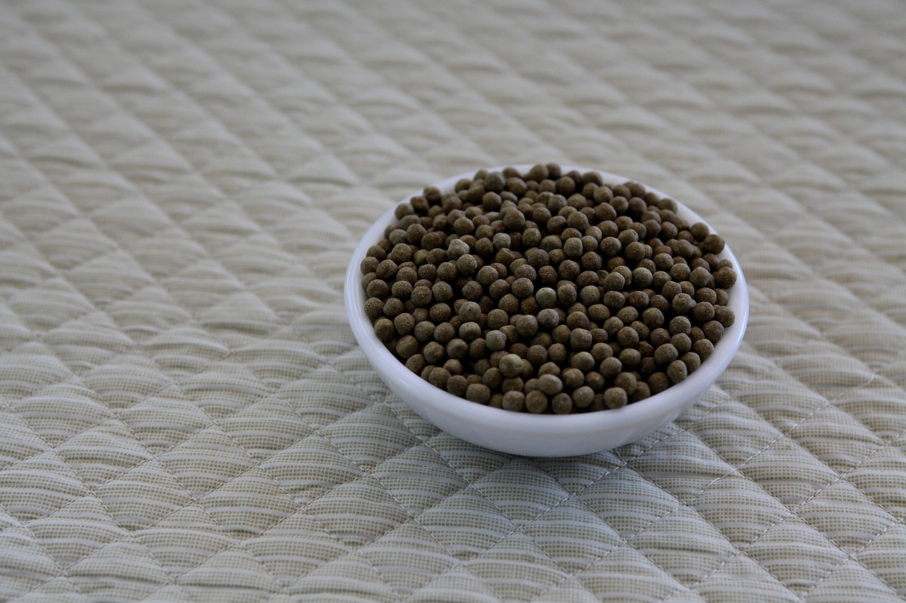 運動苦手な人が食事で痩せる方法は？