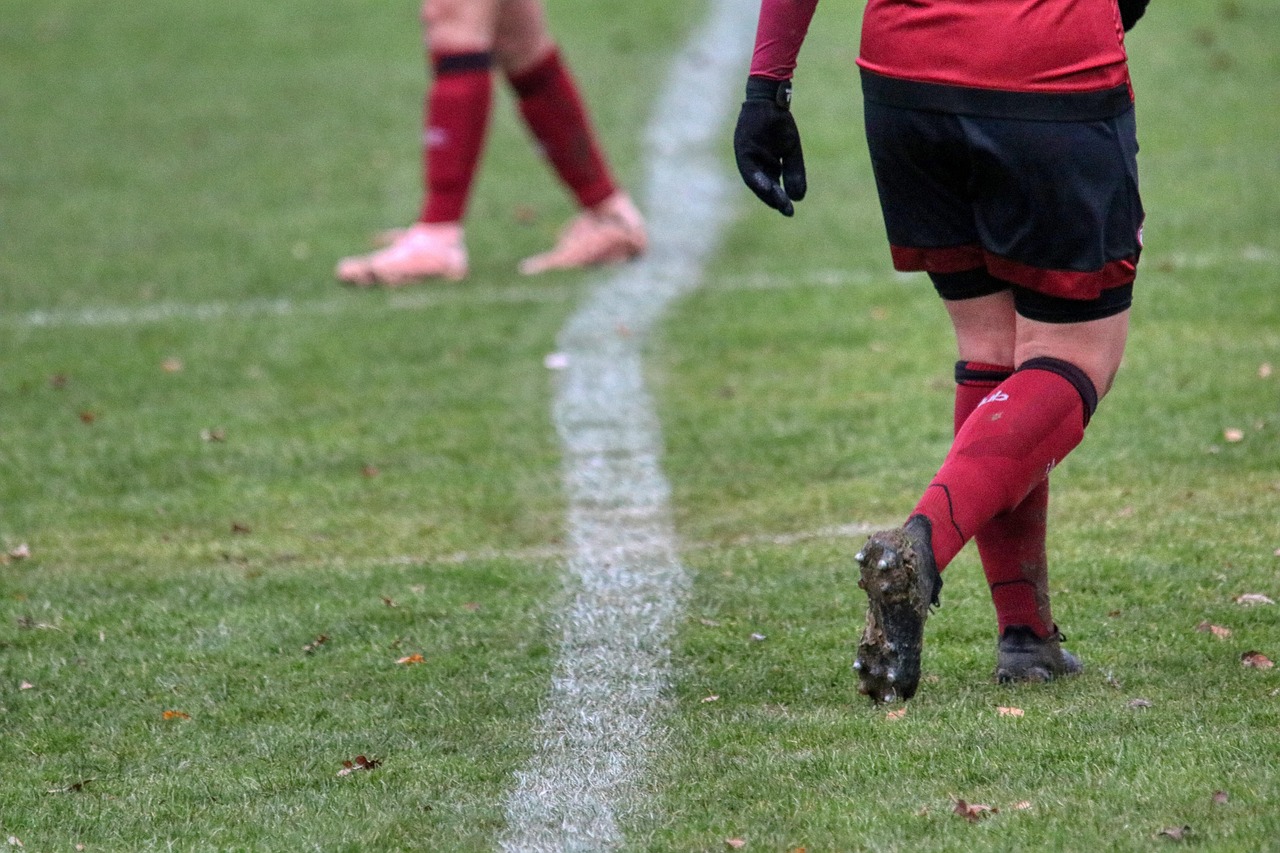 運動しない女子におすすめのダイエット本は？