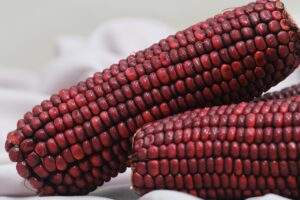 運動しないダイエットにおすすめの食品は？